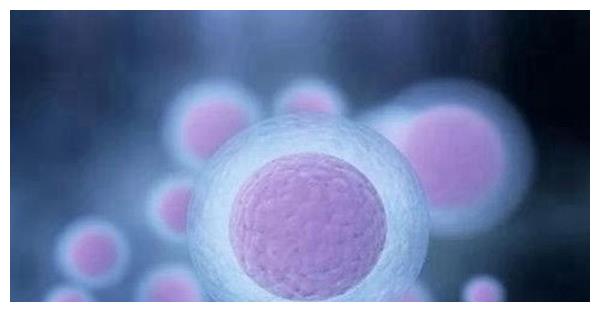 成都供卵公司(成都德保美福提示您:影响试管婴儿成功率的因素都有哪些?)