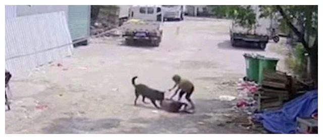 愤怒！福建老人被恶狗撕咬致死！目击者视而不见，恶狗扔无恙在家休闲区蓝鸢梦想 - Www.slyday.coM