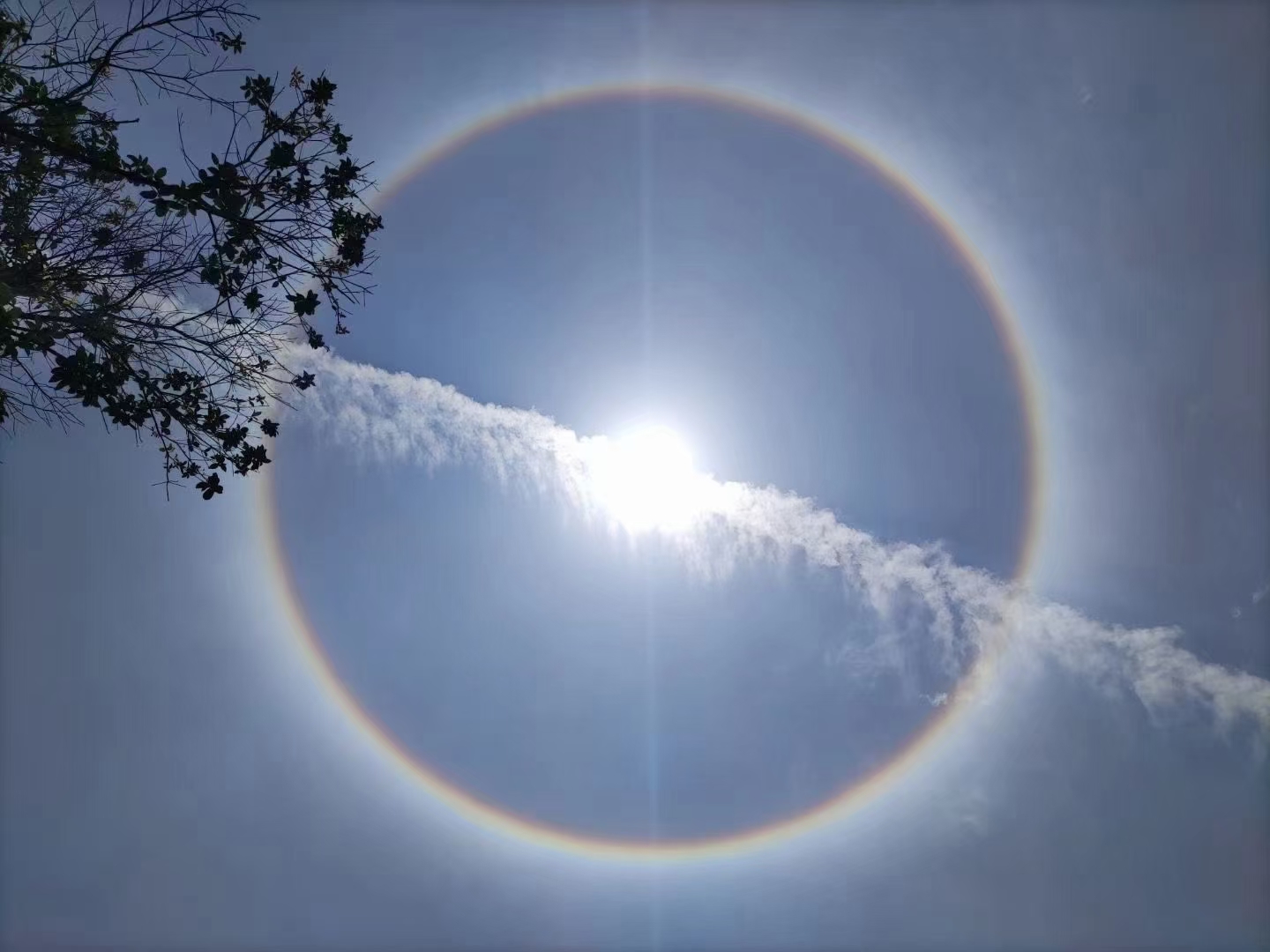 刷屏了!南方多地出现日晕景观