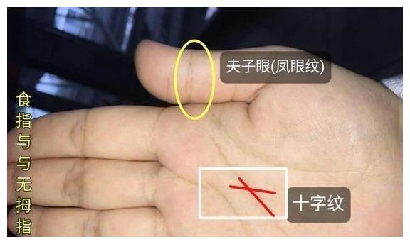 女人手相右手出现夫子眼,是福气多的象征,结婚后可相夫教子.