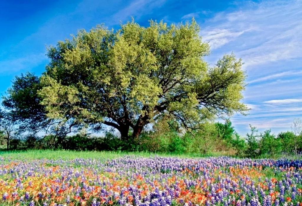 我不帮儿媳带孩子,我老了进养老院!儿子:妈,你有钱去养老院吗休闲区蓝鸢梦想 - Www.slyday.coM 我不帮儿媳带孩子,我老了进养老院!儿子:妈,你有钱去养老院吗休闲区蓝鸢梦想 - Www.slyday.coM