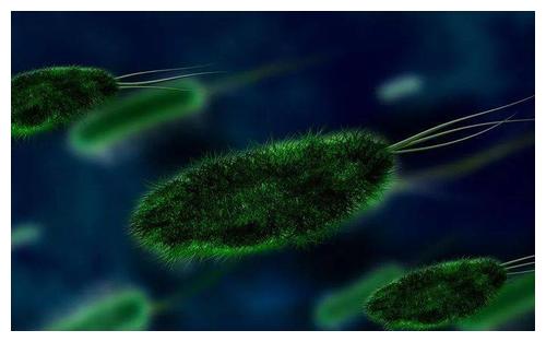 感染幽门螺杆菌或诱发胃癌,共餐时易致全家感染休闲区蓝鸢梦想 - Www.slyday.coM 感染幽门螺杆菌或诱发胃癌,共餐时易致全家感染休闲区蓝鸢梦想 - Www.slyday.coM