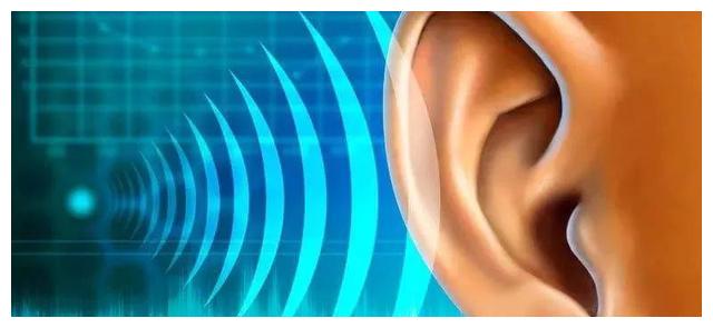 声音在大脑中形成吗为什么