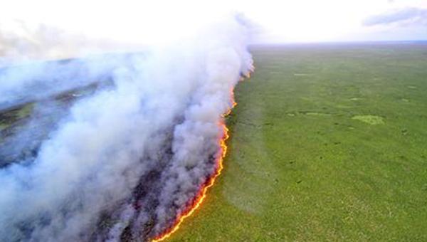 蒙古国草原火灾蔓延至中国