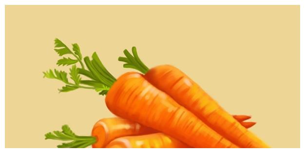 什么时候种胡萝卜最佳 171e-4a1a8ba81746eac905a7ea11dd5f34a7.jpg