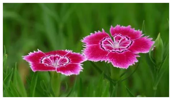 不怎么生气的人,谁都惹不起!休闲区蓝鸢梦想 - Www.slyday.coM 不怎么生气的人,谁都惹不起!休闲区蓝鸢梦想 - Www.slyday.coM