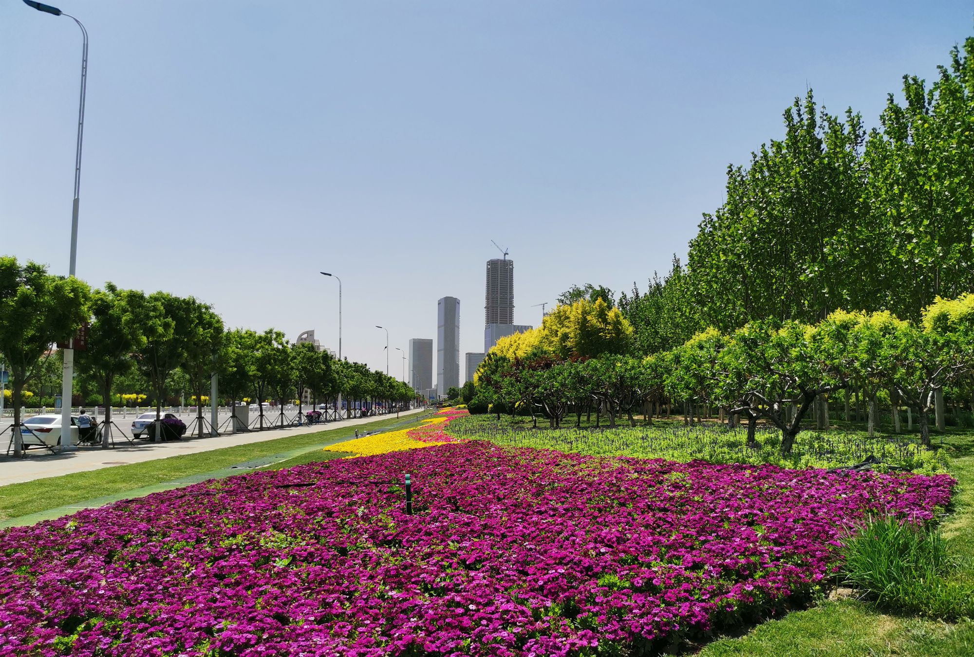 天津滨海新区中央大道·紫云公园,感受深刻环保理念和动人故事!