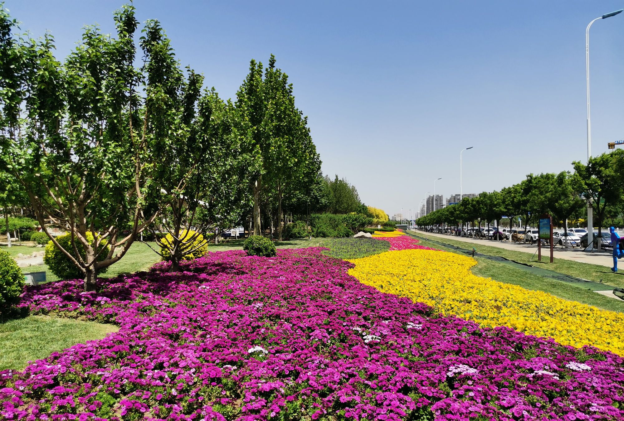 天津滨海新区中央大道·紫云公园,感受深刻环保理念和动人故事!