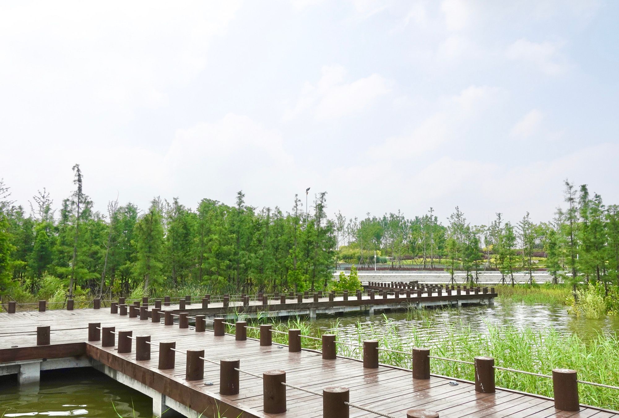 这里的景色真美,就在驻马店市遂平玉湖湿地公园
