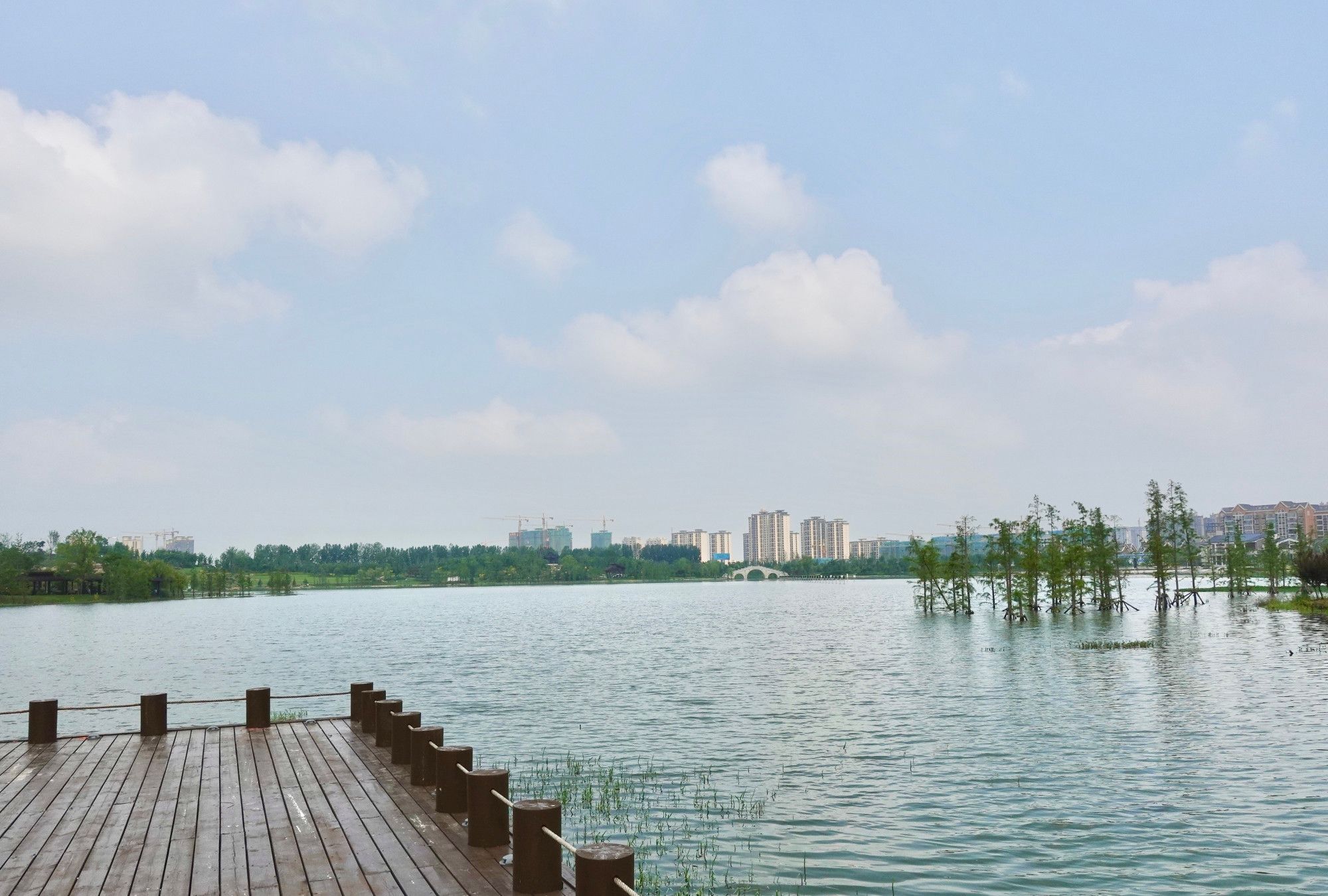 这里的景色真美,就在驻马店市遂平玉湖湿地公园
