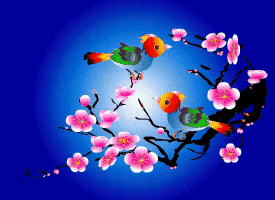 闰四月初四,喜鹊登梅,未来四十四天吉祥好运降临于你