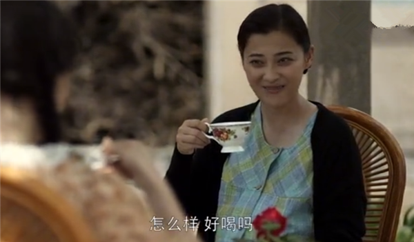 父母爱情如果你是葛老师大概也会嫉妒处处透着优越感的安杰吧