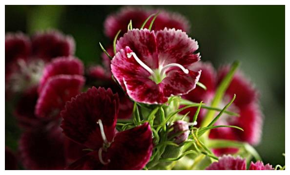 不怎么生气的人,谁都惹不起!休闲区蓝鸢梦想 - Www.slyday.coM 不怎么生气的人,谁都惹不起!休闲区蓝鸢梦想 - Www.slyday.coM