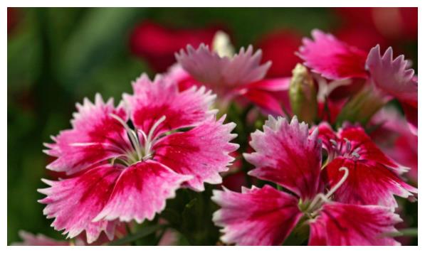 不怎么生气的人,谁都惹不起!休闲区蓝鸢梦想 - Www.slyday.coM 不怎么生气的人,谁都惹不起!休闲区蓝鸢梦想 - Www.slyday.coM