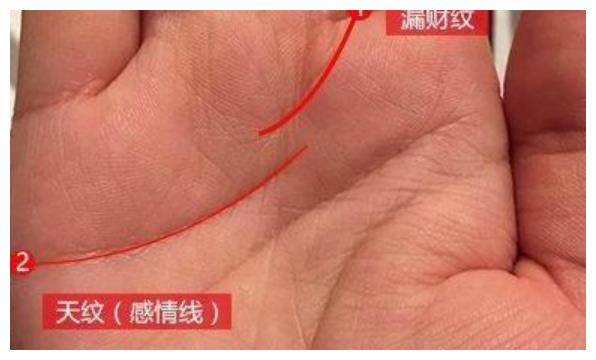 要发财四种手相纹路有一条就大富大贵一生财运不断