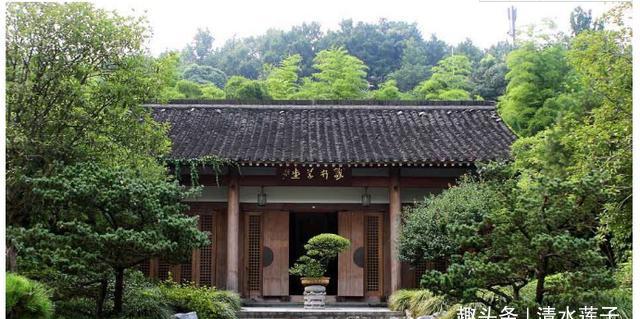 2020年中国杭州春游中国茶叶博物馆龙井草堂小河直街