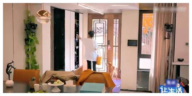 郑爽千万豪宅罕见曝光,全屋没床没沙发,和她的性格很相符