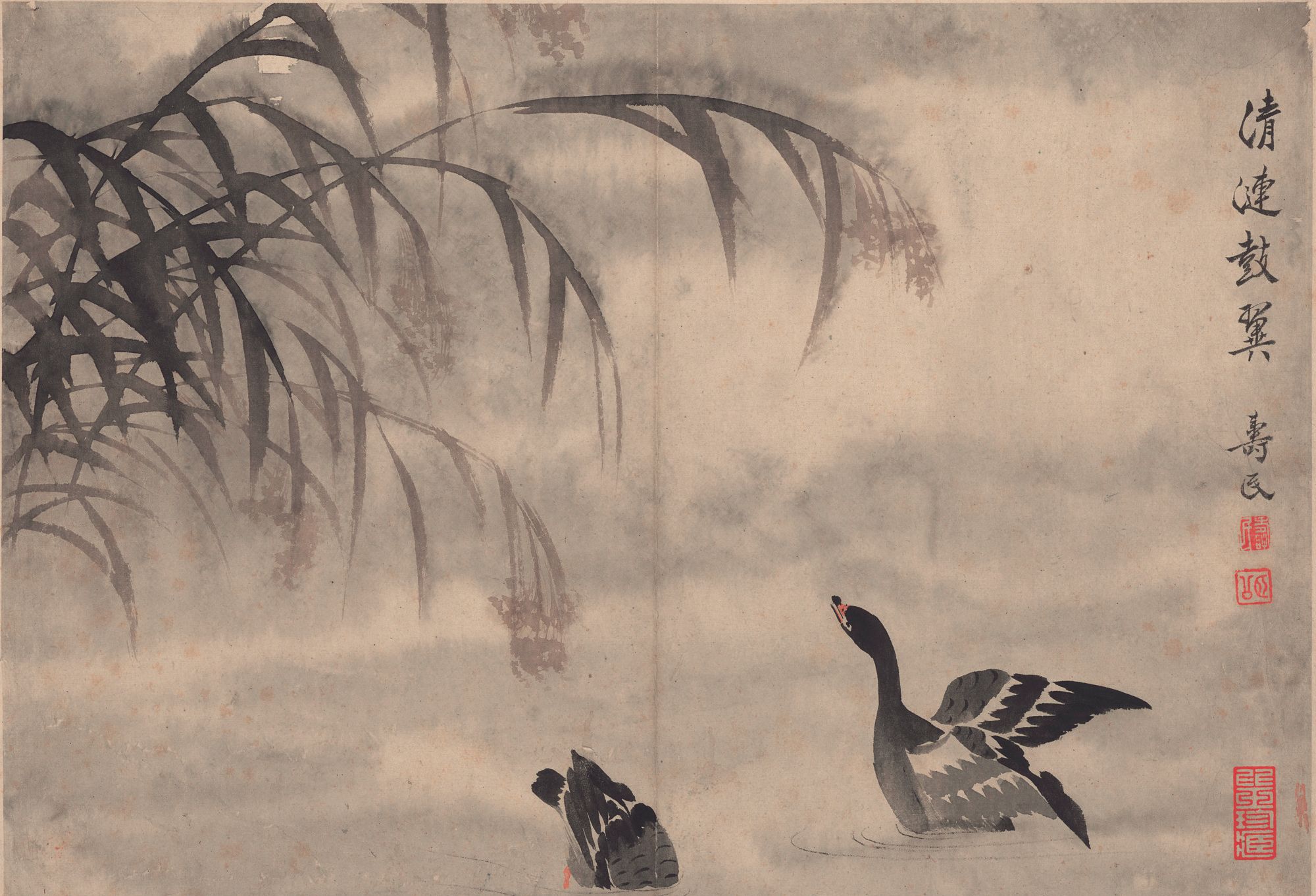 清代著名画家-边寿民-芦雁图十开_高清图集_新浪网