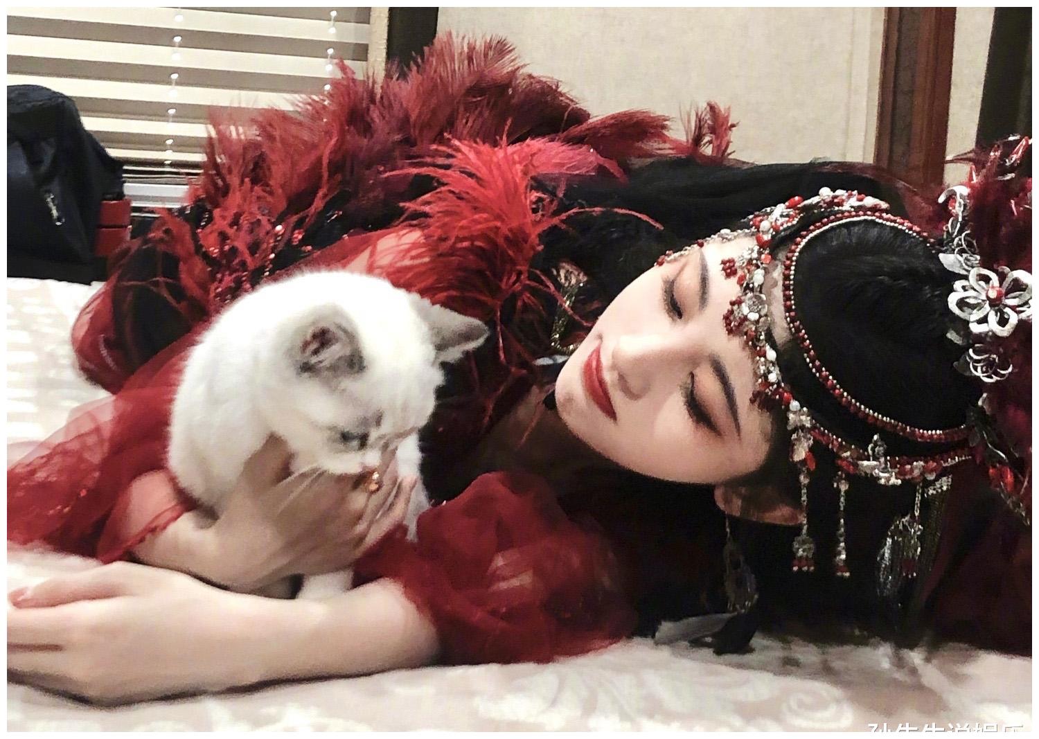 鞠婧祎晒出4张撸猫照阅读量超过22万网友我沦陷了