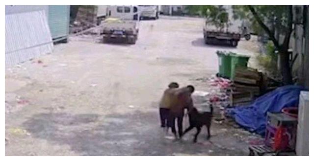 愤怒！福建老人被恶狗撕咬致死！目击者视而不见，恶狗扔无恙在家休闲区蓝鸢梦想 - Www.slyday.coM
