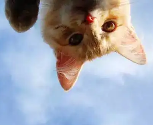 笔下“反派”竟成怨种邻居？陈哲远沈月上演“书穿恋爱文学”！休闲区蓝鸢梦想 - Www.slyday.coM