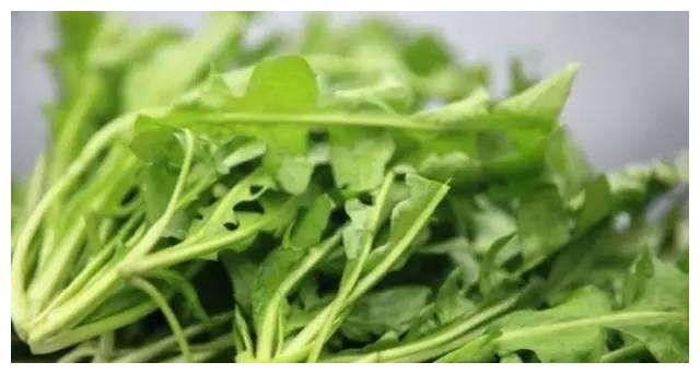 3个野菜1个瓜 农村人最爱的植物 想吃只能自己挖 财经头条 3个野菜1个瓜 农村人最爱的植物 想吃只能自己挖 财经头条