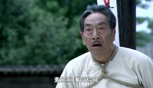 那麻子执行死刑,枪决后那素芝一声爹喊的让人心碎