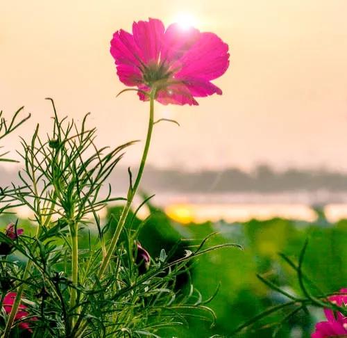 我不帮儿媳带孩子,我老了进养老院!儿子:妈,你有钱去养老院吗休闲区蓝鸢梦想 - Www.slyday.coM 我不帮儿媳带孩子,我老了进养老院!儿子:妈,你有钱去养老院吗休闲区蓝鸢梦想 - Www.slyday.coM