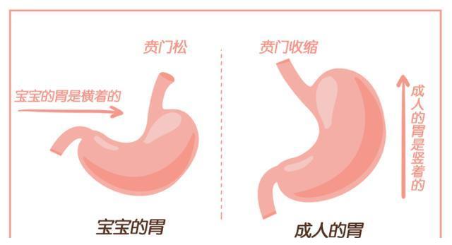 宝宝吐奶另有"隐情",可能是身体欠佳的报警信号|宝宝|奶嘴|贲门_新浪