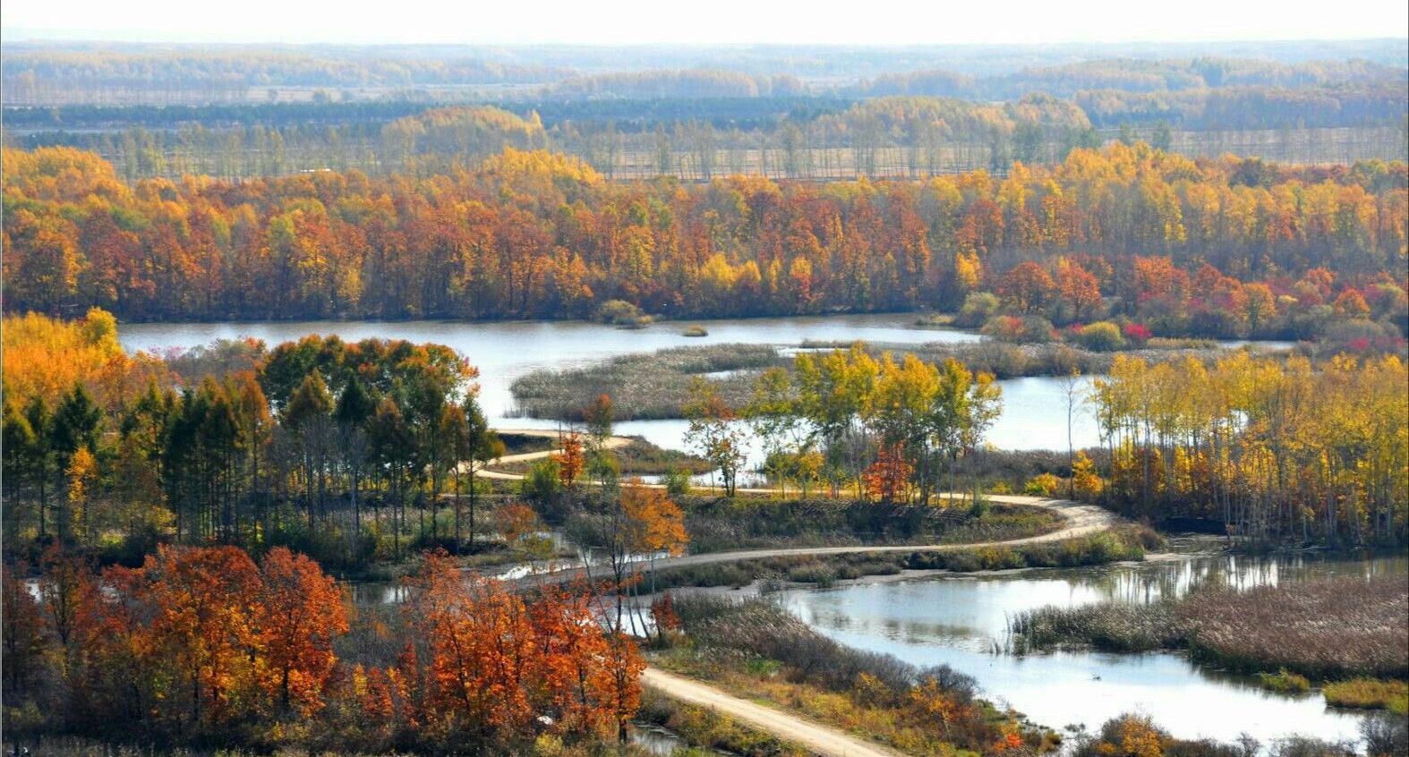 魅力八五八美丽的八五八农场