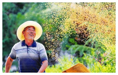 2020年起，農業戶口的朋友別忘了領4項補貼，看看你符合條件嗎