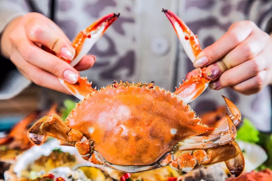 为什么入秋后最适合吃螃蟹喝白酒