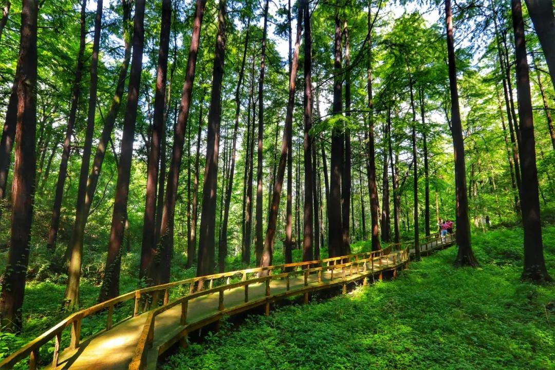 鸡公山景区诚邀40多家旅游界大咖齐聚鸡公山 谋划2022年旅游发展