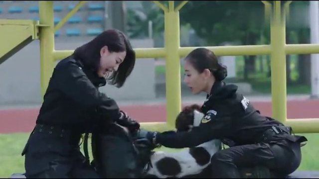 警花与警犬:警花给大饼喂食前,还要数落一下它,难怪警犬嫌弃她