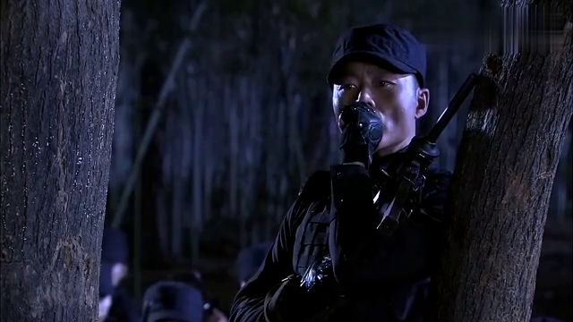 铁血玫瑰:军统挑选12个美女特工,隐姓埋名,准备刺杀汪精卫