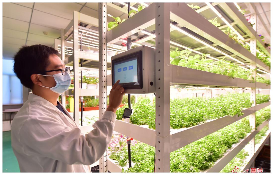 深圳 农业 科技 科技赋能农业新质生产力,深圳种业经济精准对接全国