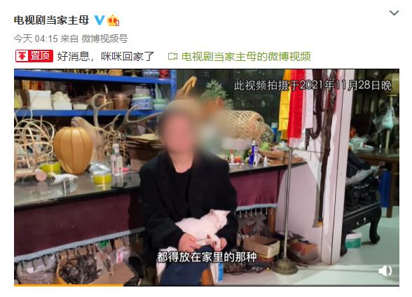 群演称猫被电死？当家主母剧组已报案休闲区蓝鸢梦想 - Www.slyday.coM