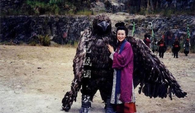 神雕群芳谱txt下载