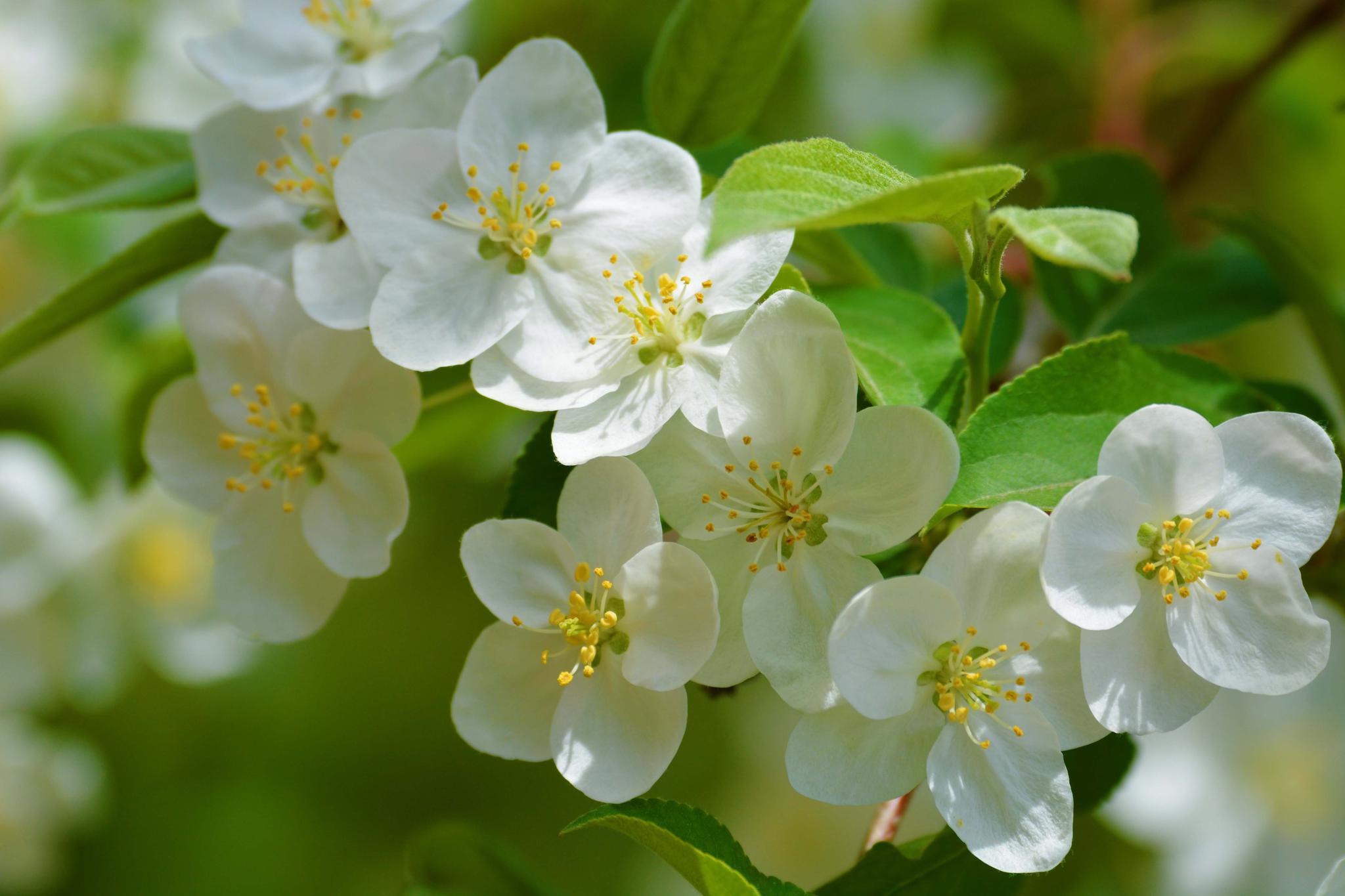 爱玥儿-的微博_微博