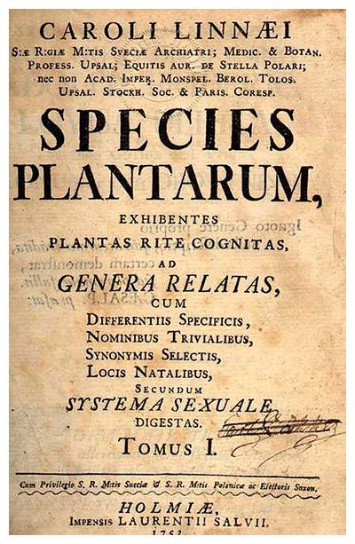 林奈 林奈最新消息 新闻 图片 视频 聚合阅读 新浪网