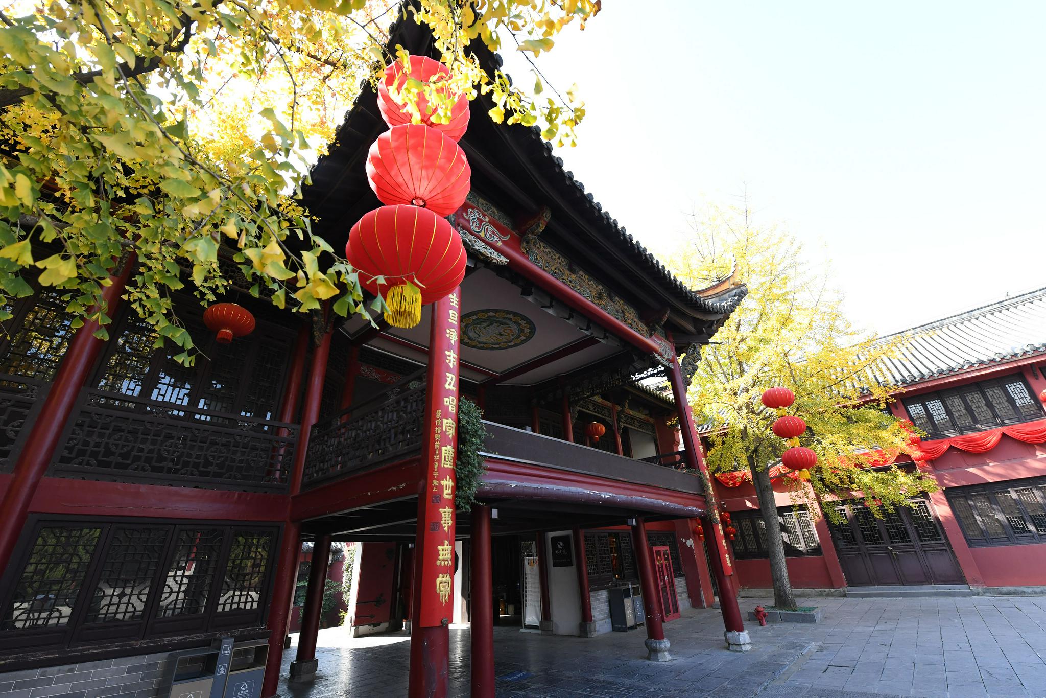 合肥城隍庙银杏树美景醉游客