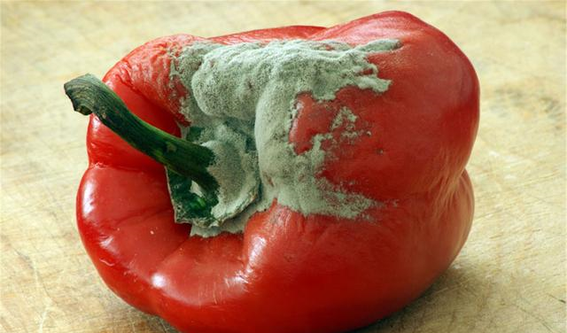 检查食品是否具有它应有的状态和味道,不能使用腐败变质,油脂酸败,没