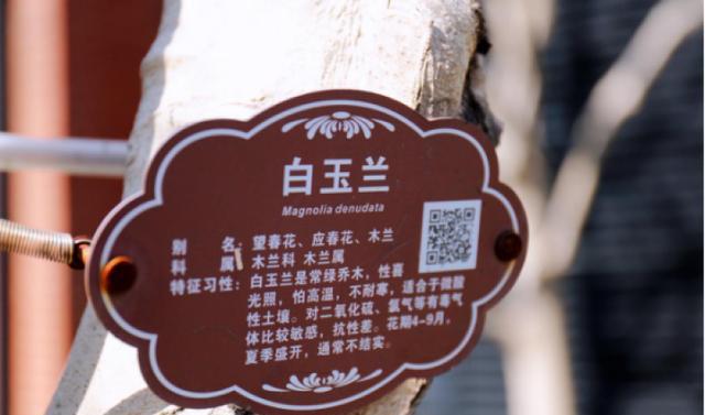 大波美图来袭!跟着小布一起开启滨江骑行"甜蜜寻花之旅"