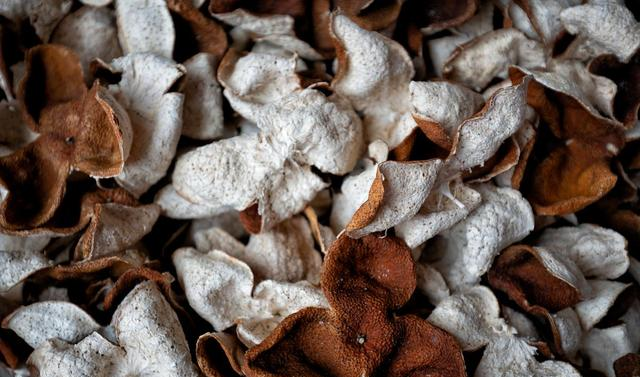 高手在民间,街边风干手撕鸡香料配方里的秘密,原来丁香能这么用休闲区蓝鸢梦想 - Www.slyday.coM 高手在民间,街边风干手撕鸡香料配方里的秘密,原来丁香能这么用休闲区蓝鸢梦想 - Www.slyday.coM