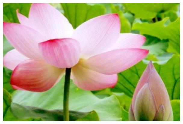 10月16日星座运势 睿智勇敢十拿九稳的三大星座