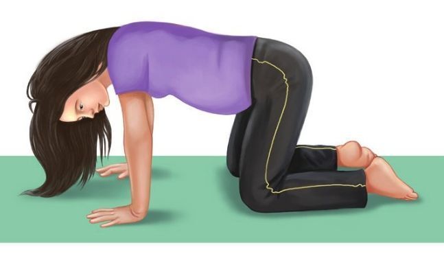 动作:手膝跪位,双臂和双腿与地面垂直,肘部松弛,五指张开,双手中指