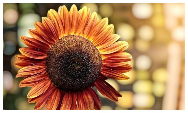 适用于忧伤时发的小句 意味深长 让人流泪 张志新 一撇一捺 体力活 新浪新闻