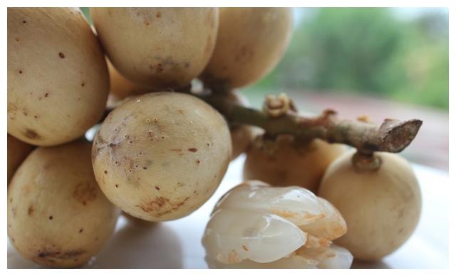 国内很稀有的菲律宾水果吃过都是见多识广你想吃哪个