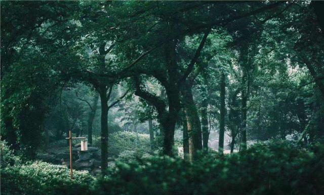 第4句1个字惊艳!全篇平淡之语,最后一句乃是精彩之语休闲区蓝鸢梦想 - Www.slyday.coM 第4句1个字惊艳!全篇平淡之语,最后一句乃是精彩之语休闲区蓝鸢梦想 - Www.slyday.coM