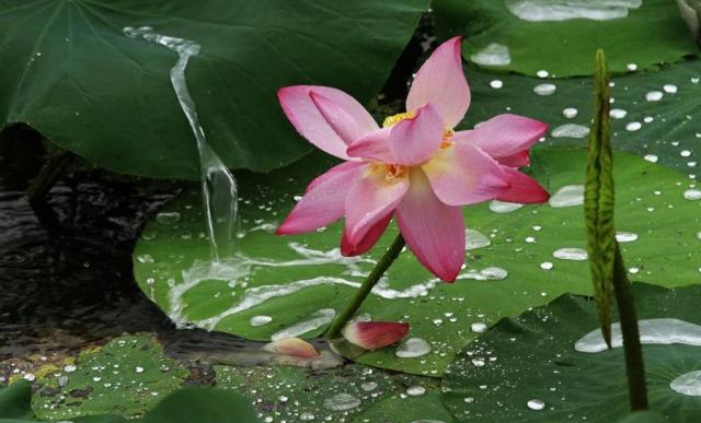 第4句1个字惊艳!全篇平淡之语,最后一句乃是精彩之语休闲区蓝鸢梦想 - Www.slyday.coM 第4句1个字惊艳!全篇平淡之语,最后一句乃是精彩之语休闲区蓝鸢梦想 - Www.slyday.coM